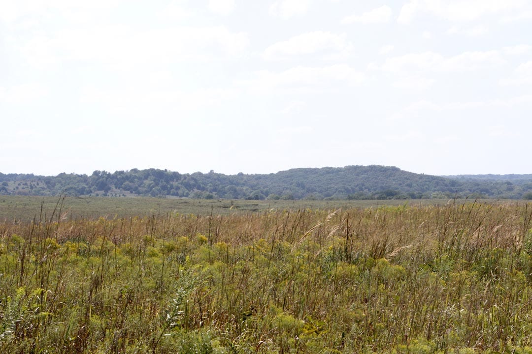 Cowboy Meadows Tract 2 photo 5