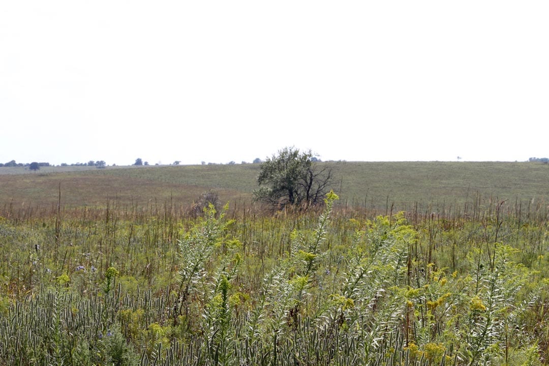 Cowboy Meadows Tract 2 photo 6