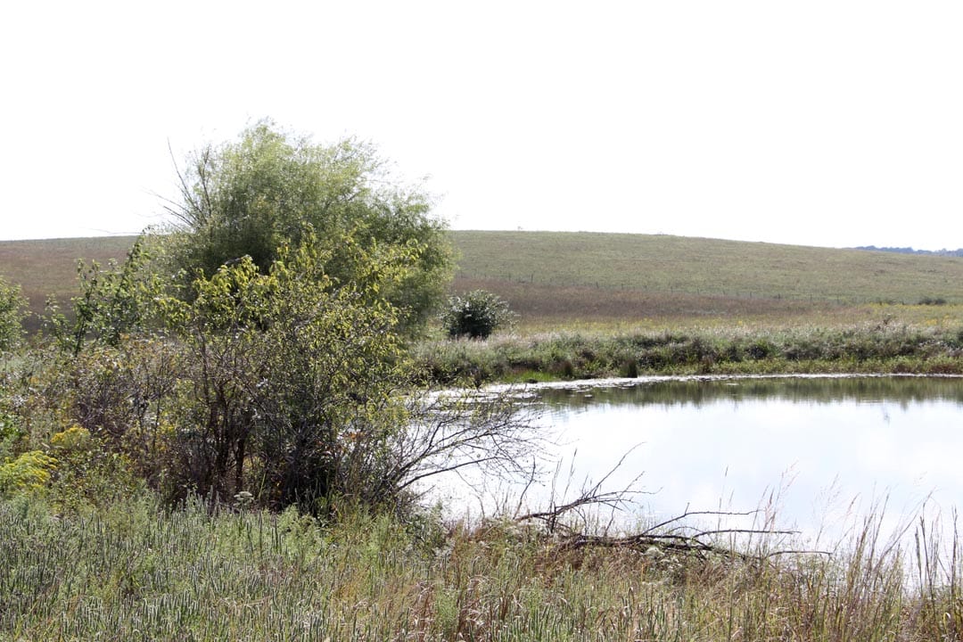 Cowboy Meadows Tract 2 photo 7