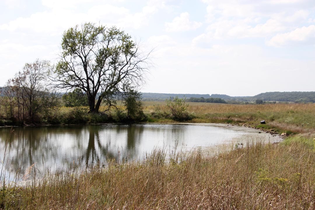 Cowboy Meadows Tract 2 photo 8