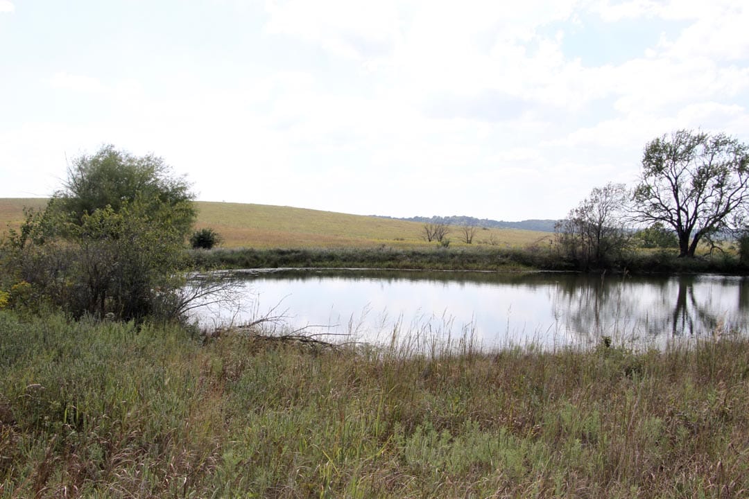 Cowboy Meadows Tract 2 photo 9