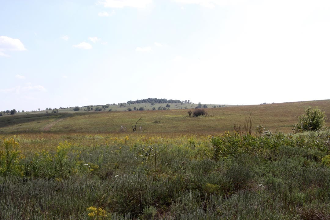 Cowboy Meadows Tract 2 photo 10