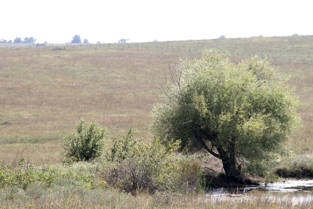 Cowboy Meadows Tract 2 photo 11