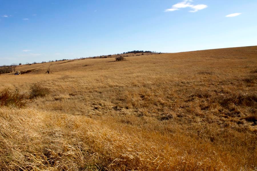 Cowboy Meadows Tract 2 photo 15