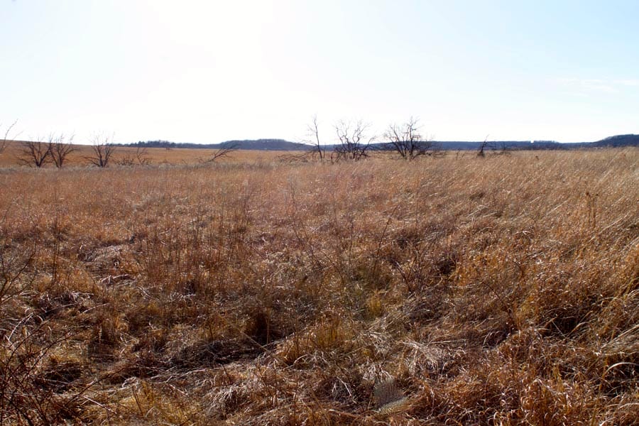 Cowboy Meadows Tract 2 photo 16