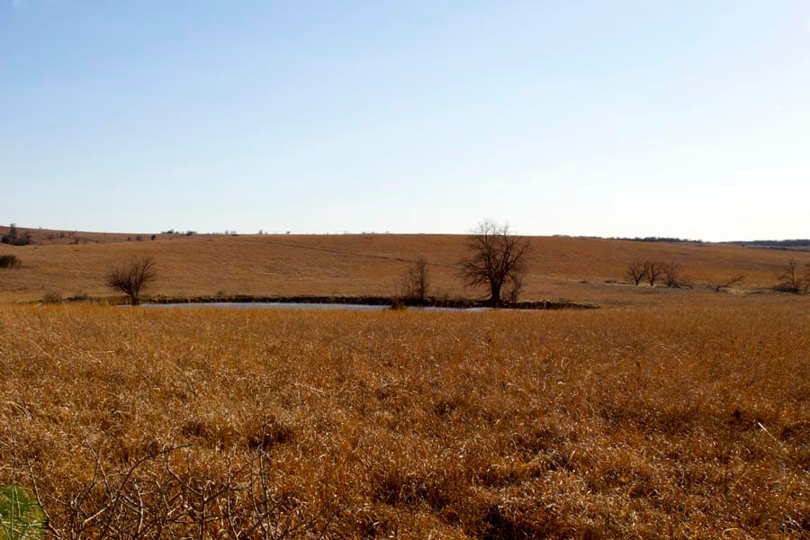 Cowboy Meadows Tract 2 photo 17