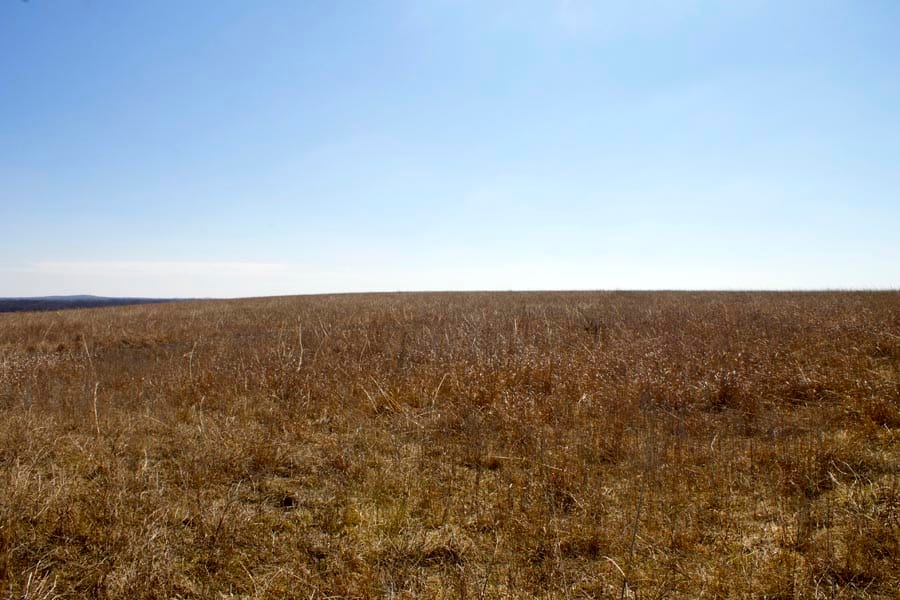 Cowboy Meadows Tract 2 photo 25