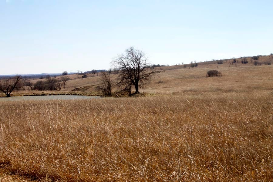 Cowboy Meadows Tract 2 photo 26