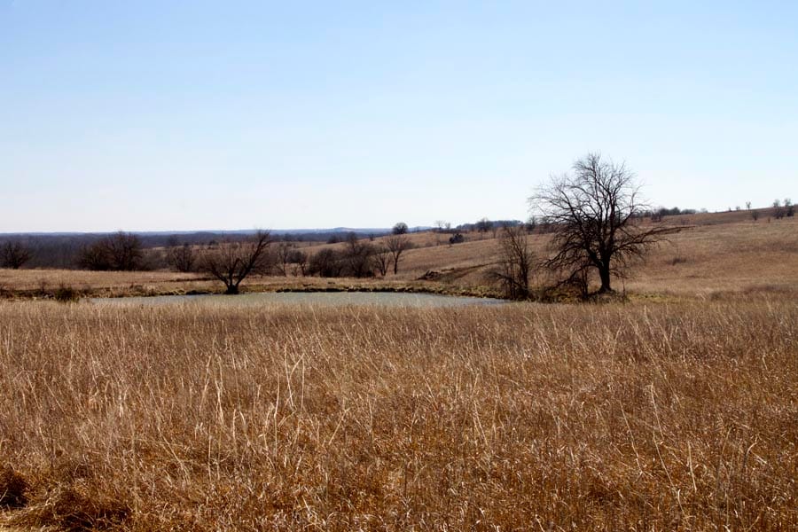 Cowboy Meadows Tract 2 photo 27