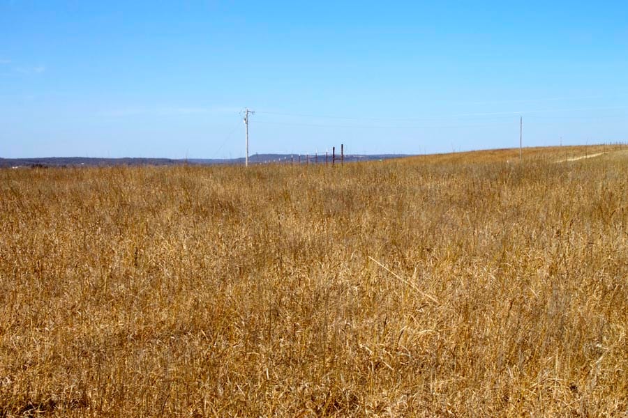 Cowboy Meadows Tract 2 photo 29