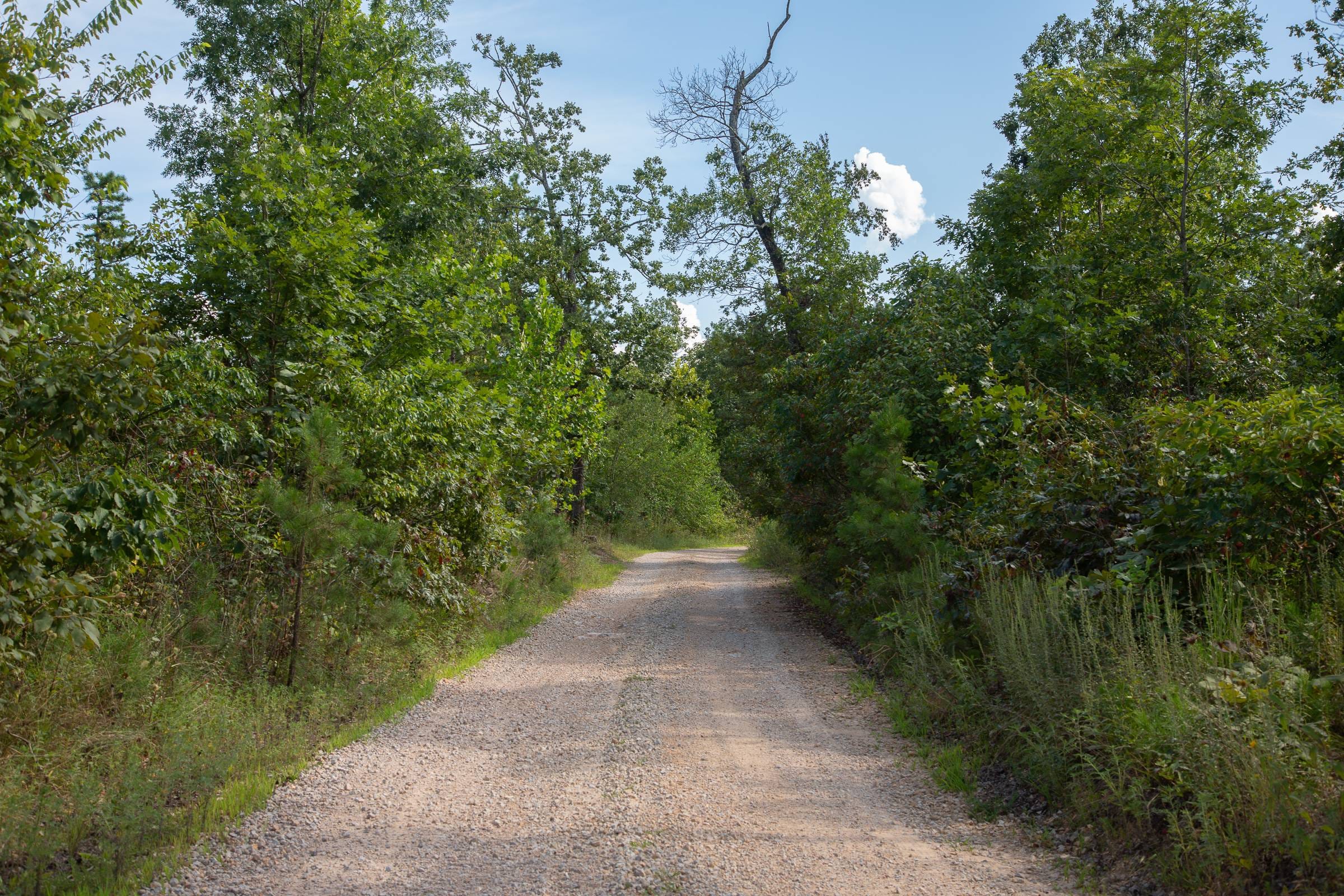 Borgmann’s Hollow Phase I Tract 23 photo 8