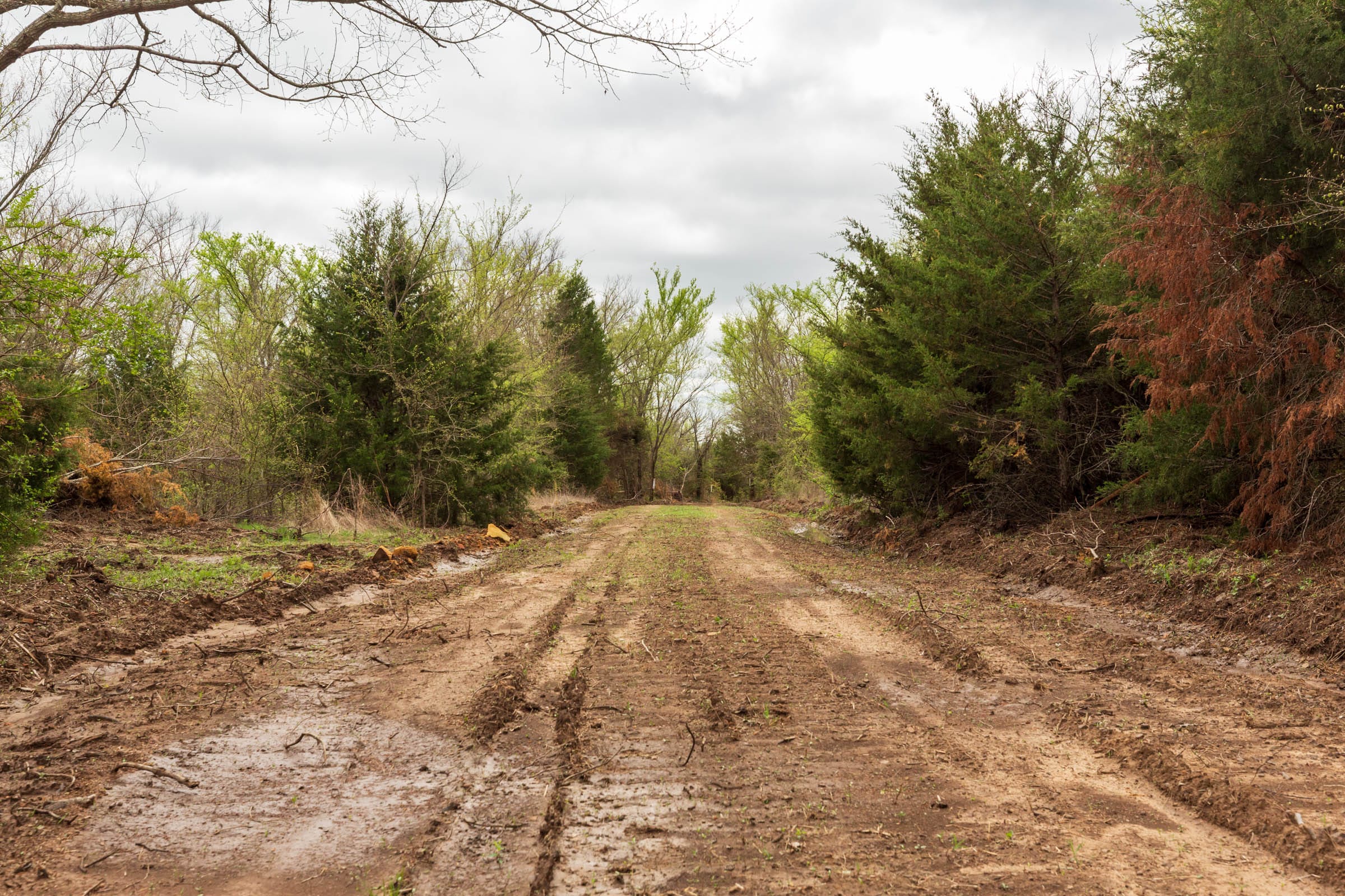 Moonrise Meadows Tract 12 photo 1