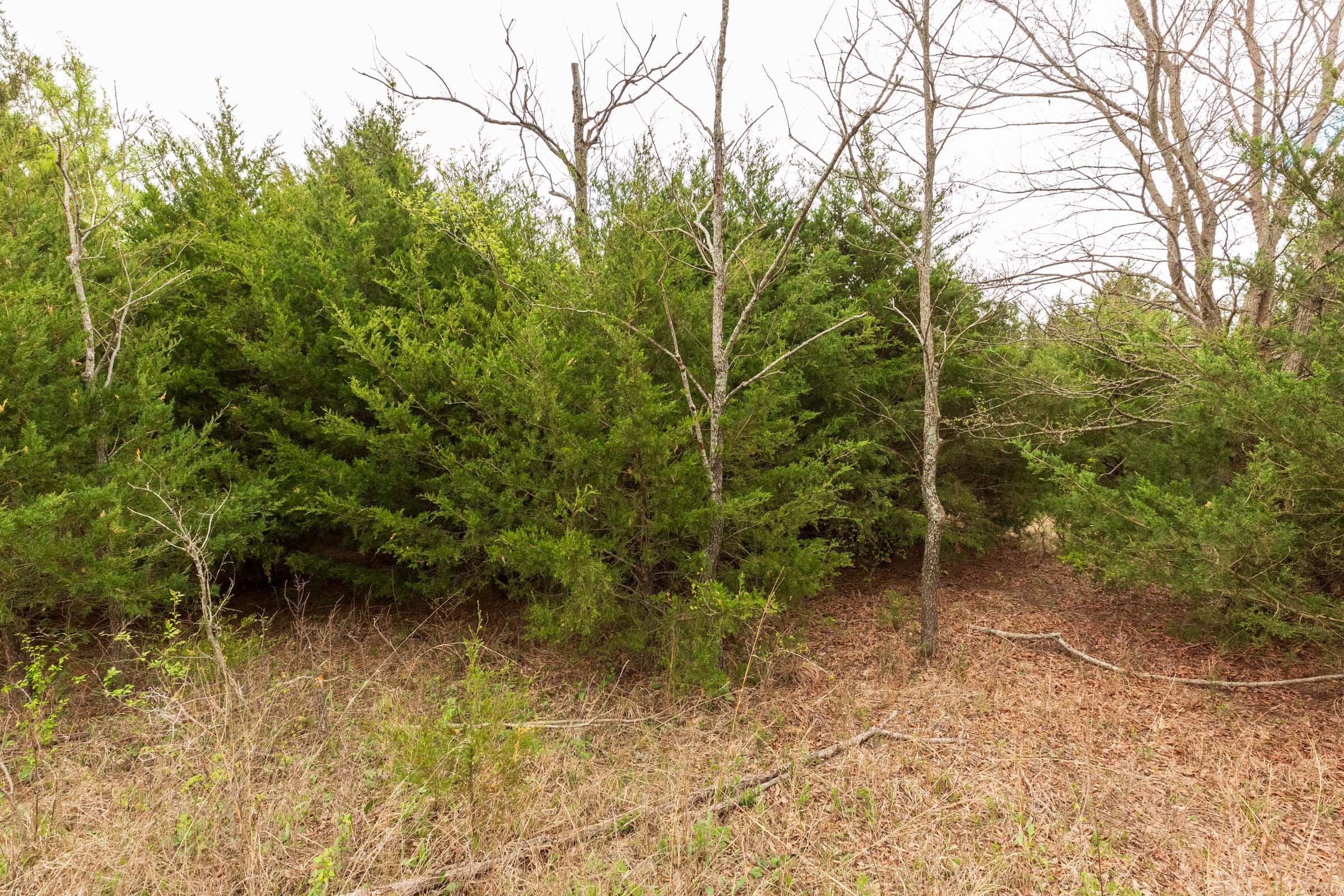 Moonrise Meadows Tract 12 photo 2