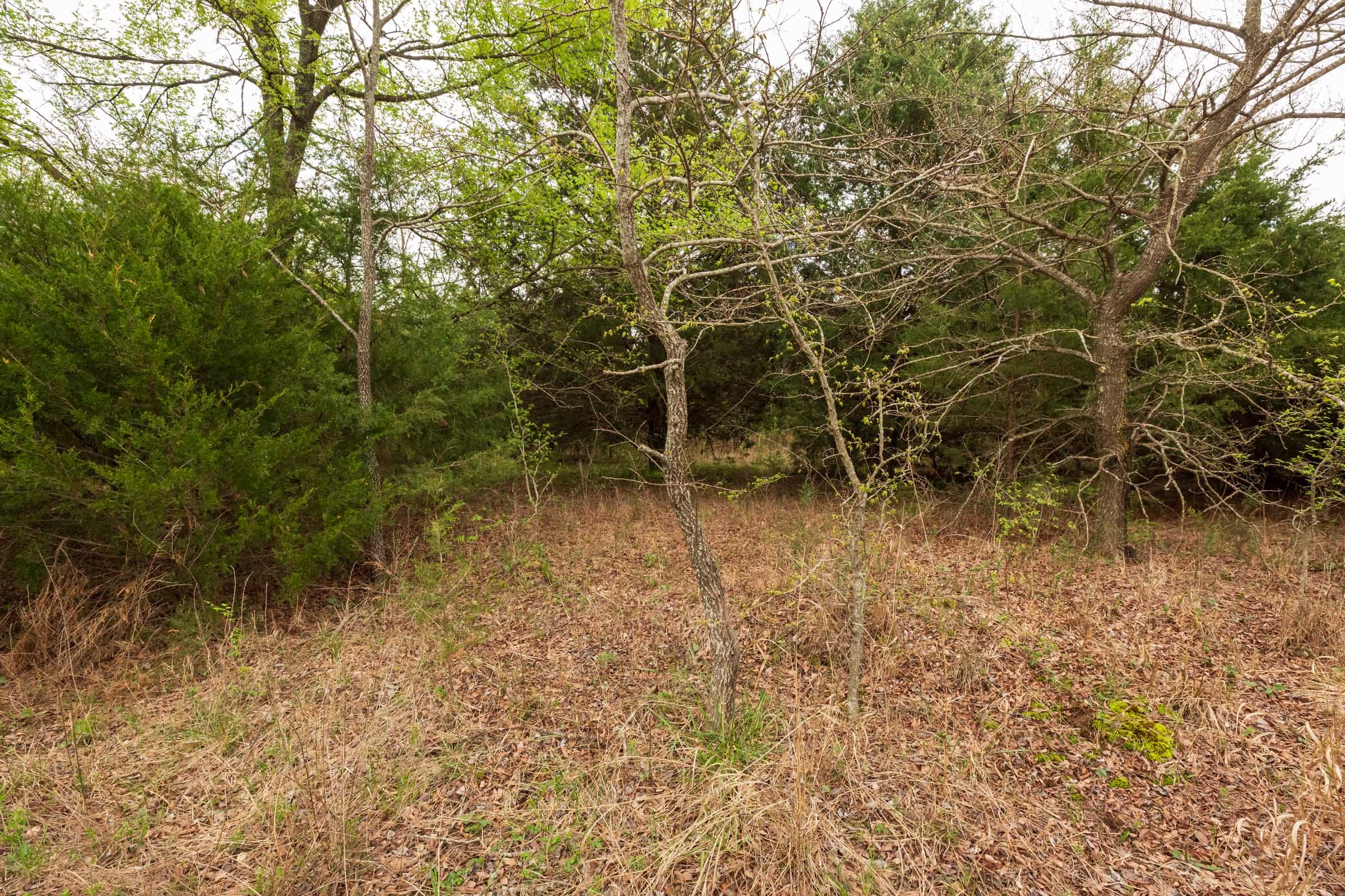 Moonrise Meadows Tract 12 photo 11
