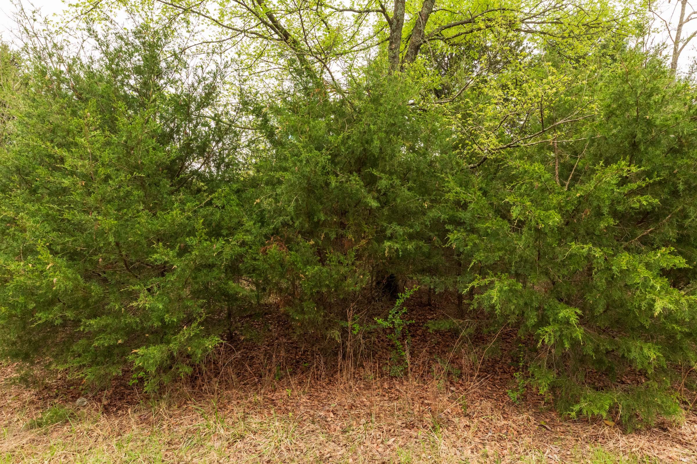 Moonrise Meadows Tract 12 photo 13