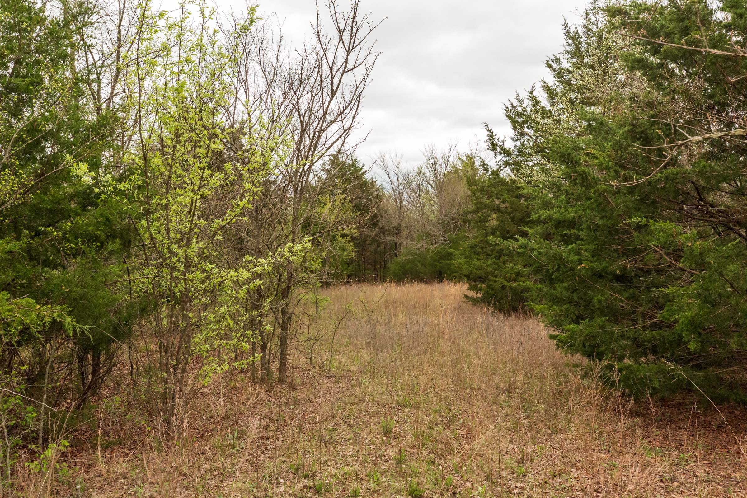 Moonrise Meadows Tract 12 photo 14
