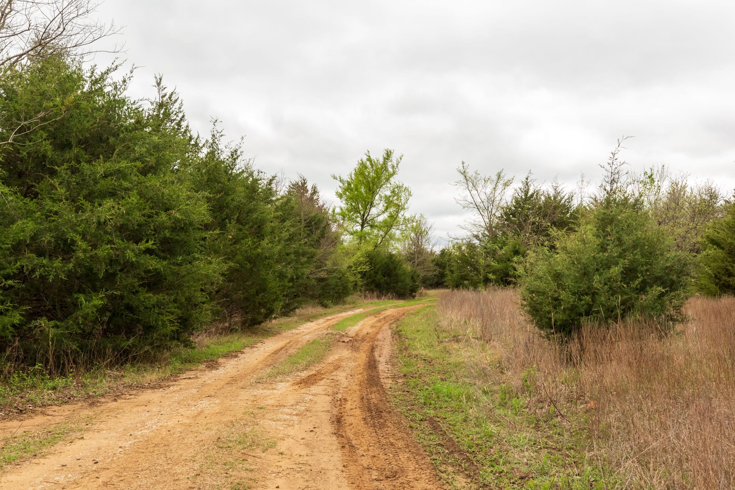 Moonrise Meadows Tract 12 photo 9