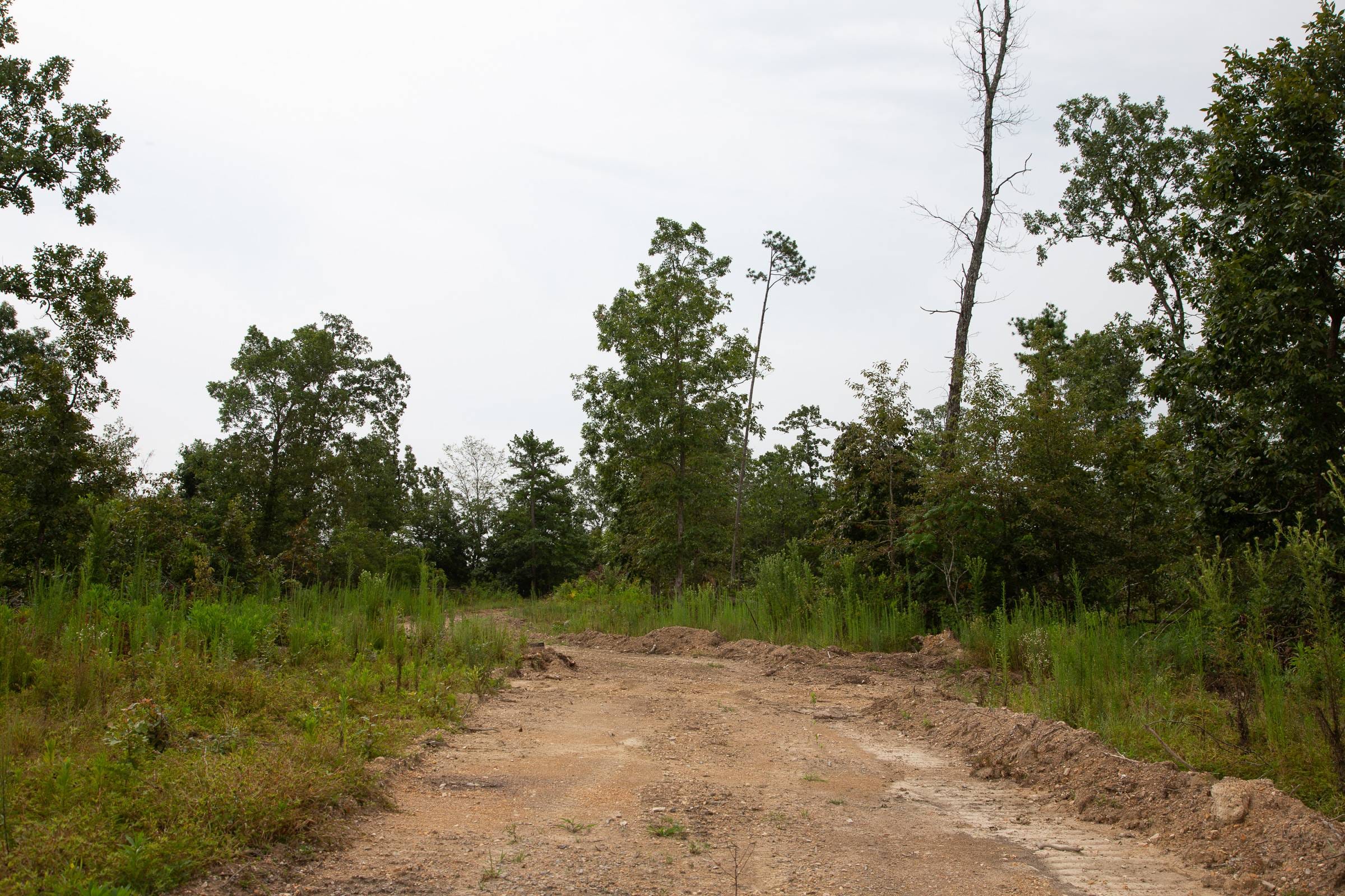 Borgmann’s Hollow Phase II Tract 43 photo 2