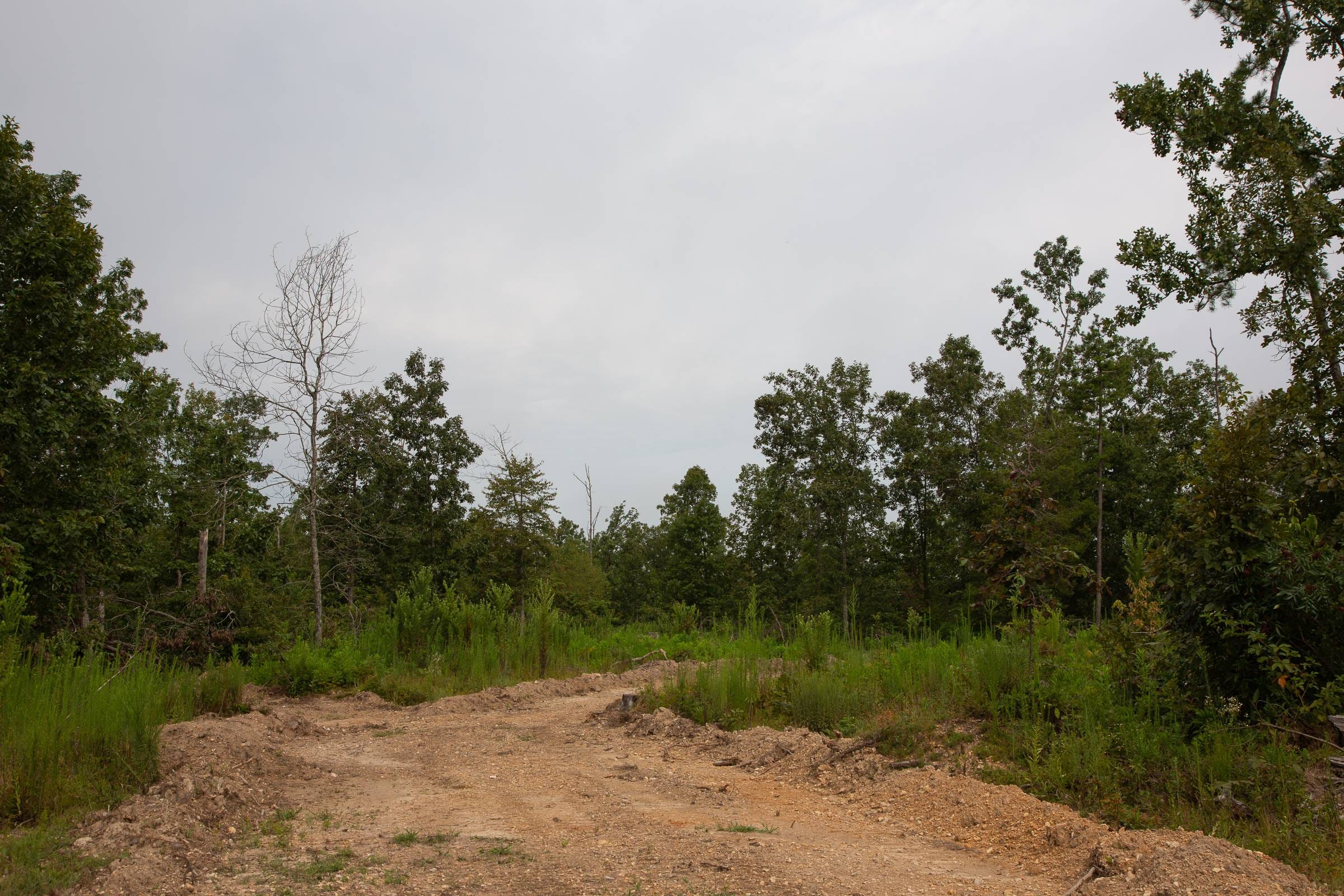 Borgmann’s Hollow Phase II Tract 43 photo 9
