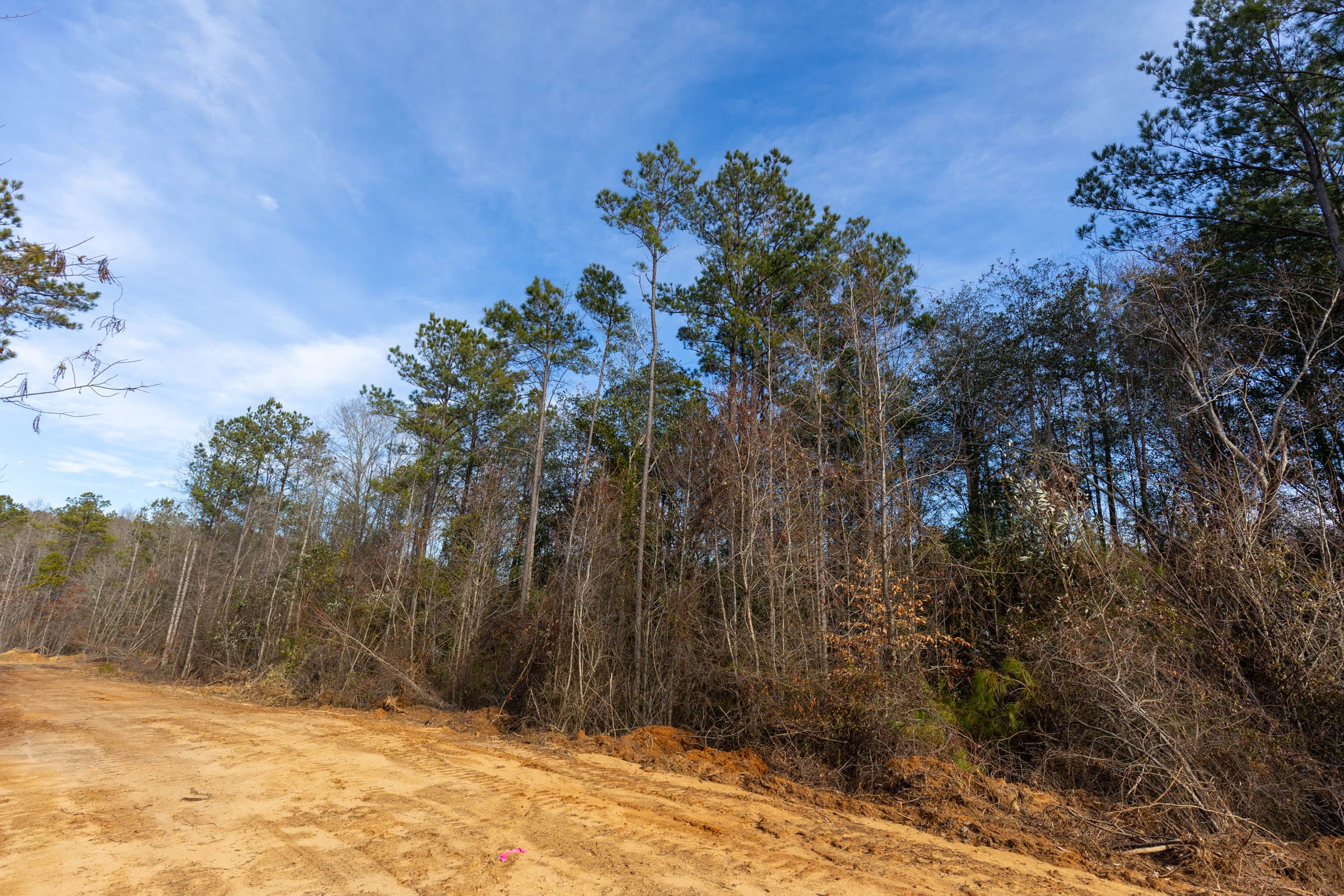 Baker Creek Tract 11 photo 7