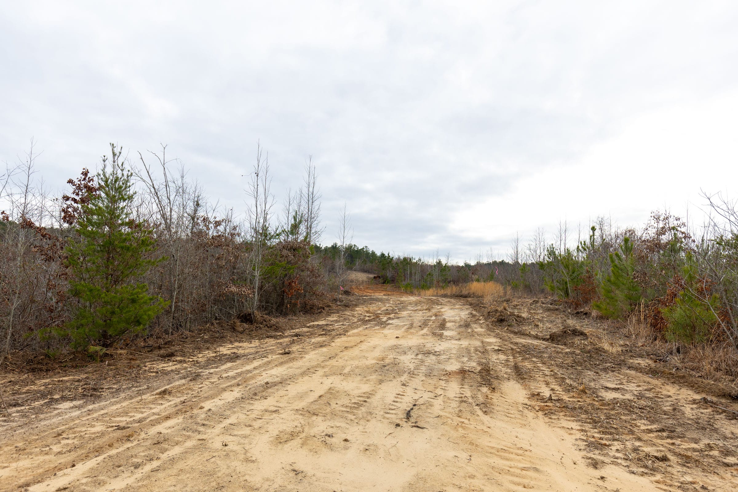 Baker Creek Tract 11 photo 6