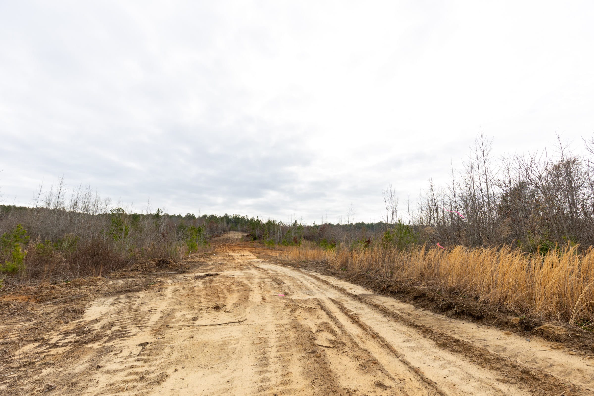 Baker Creek Tract 11 photo 4