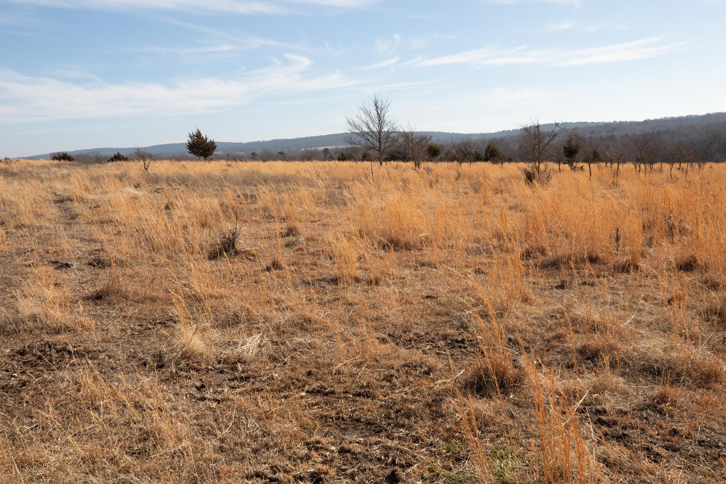 Painted Horse Tract 31 photo 1