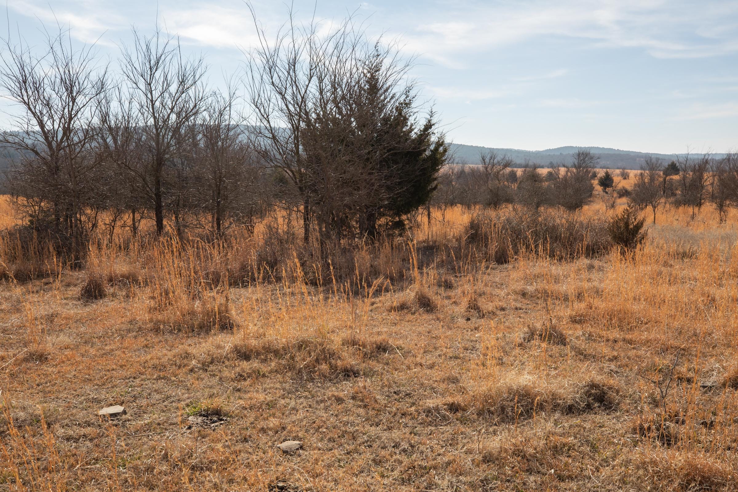 Painted Horse Tract 31 photo 2