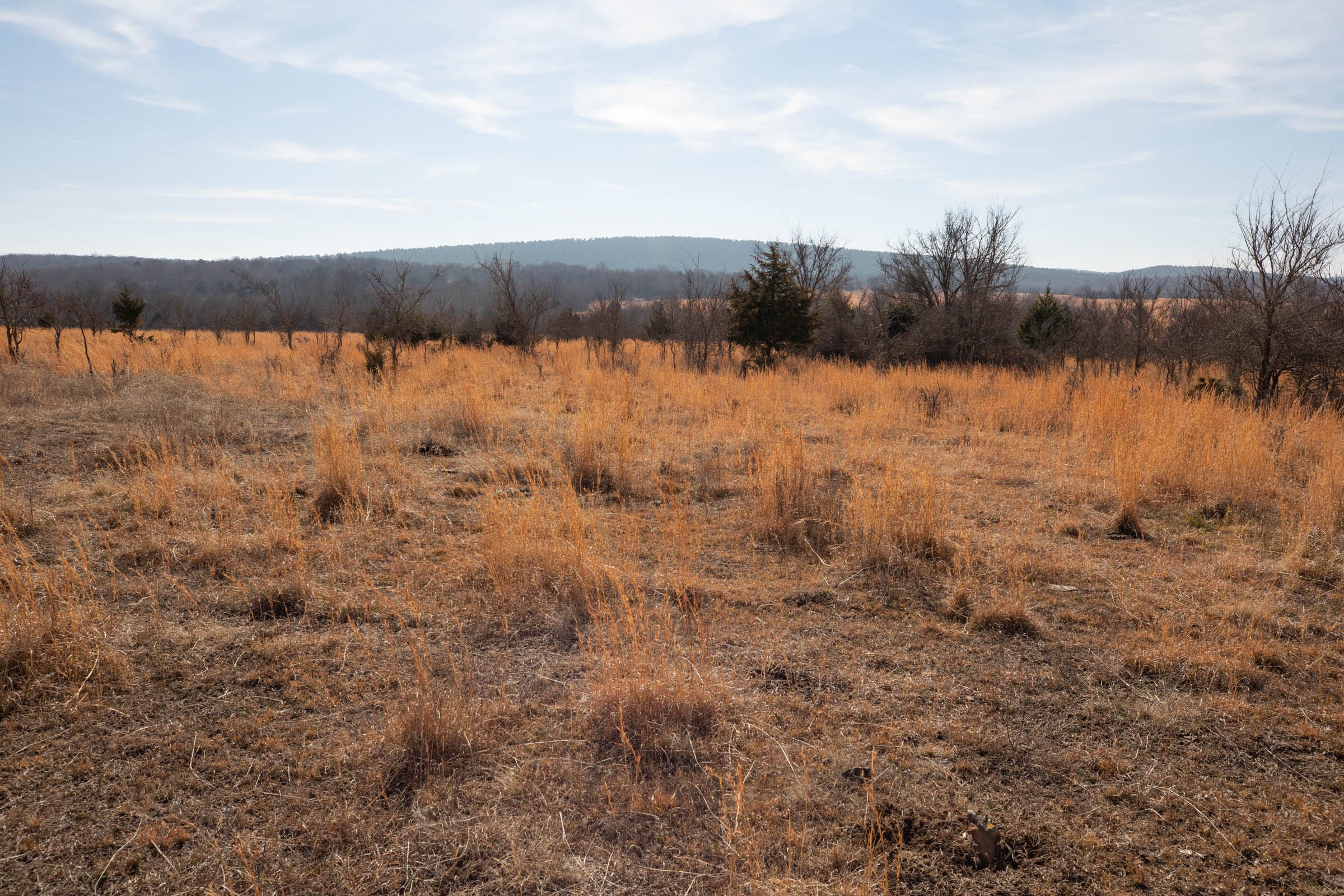 Painted Horse Tract 31 photo 5