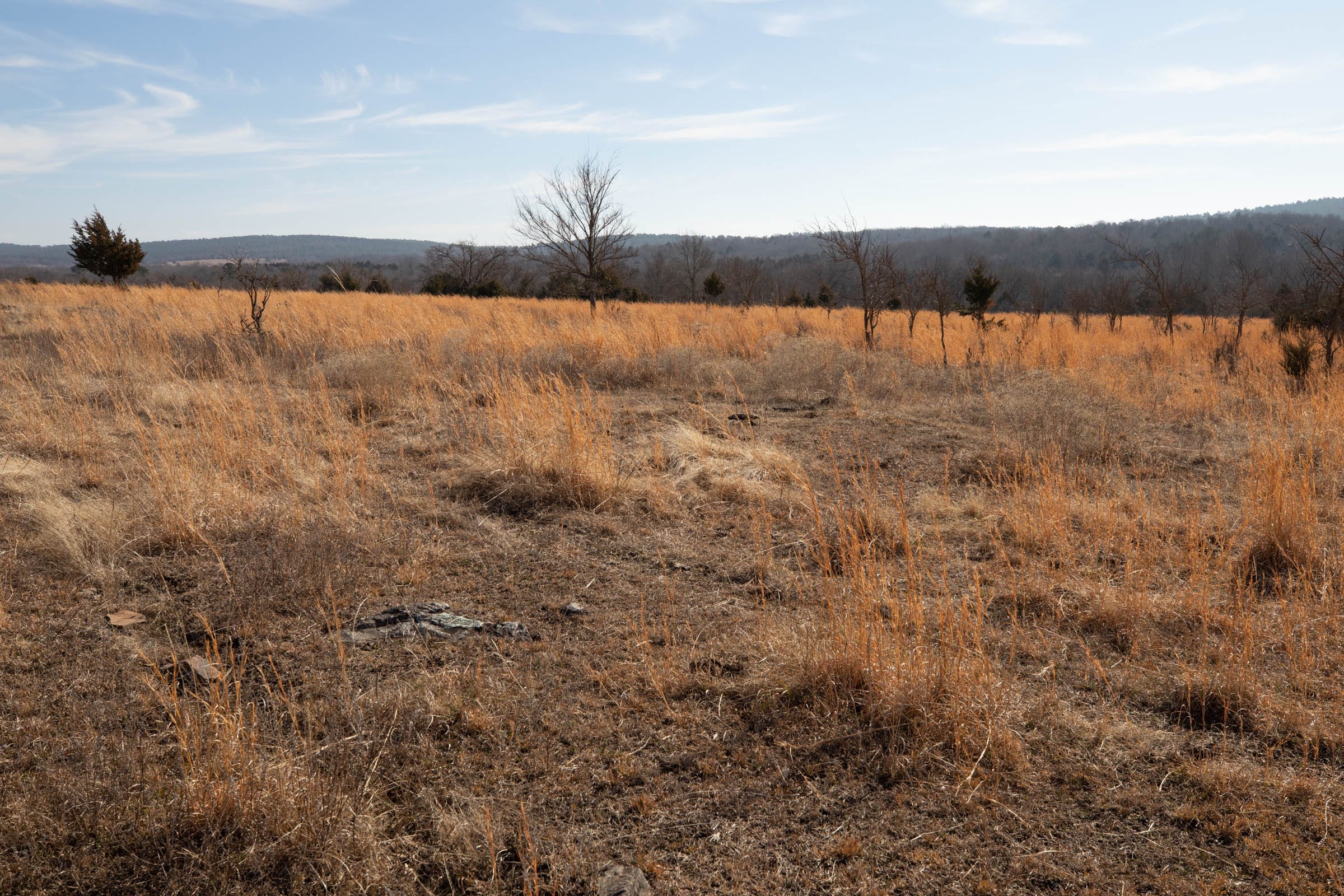 Painted Horse Tract 31 photo 6