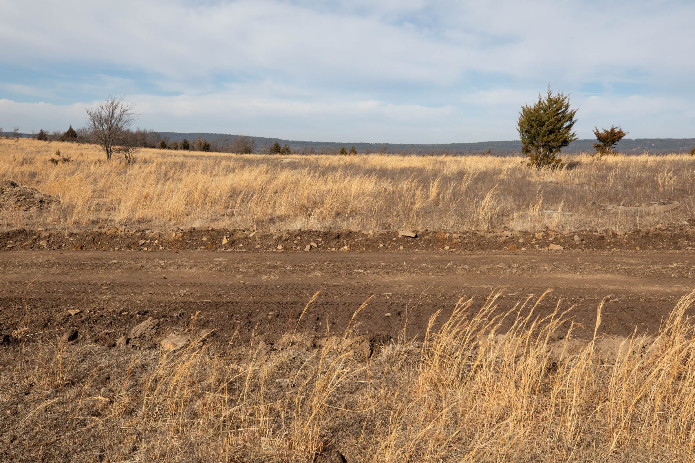 Painted Horse Tract 31 photo 7