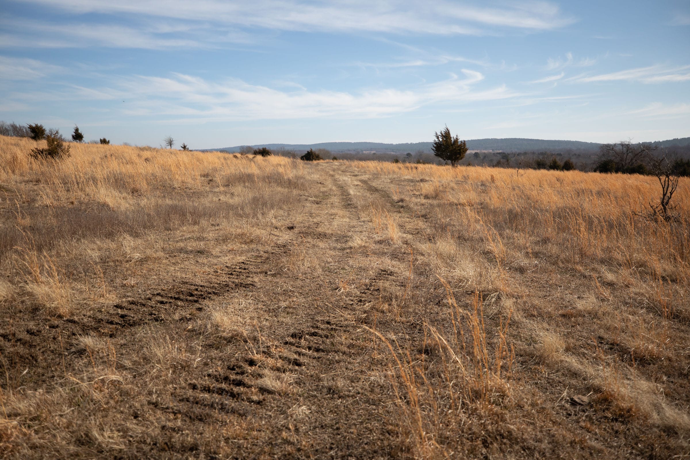 Painted Horse Tract 31 photo 9