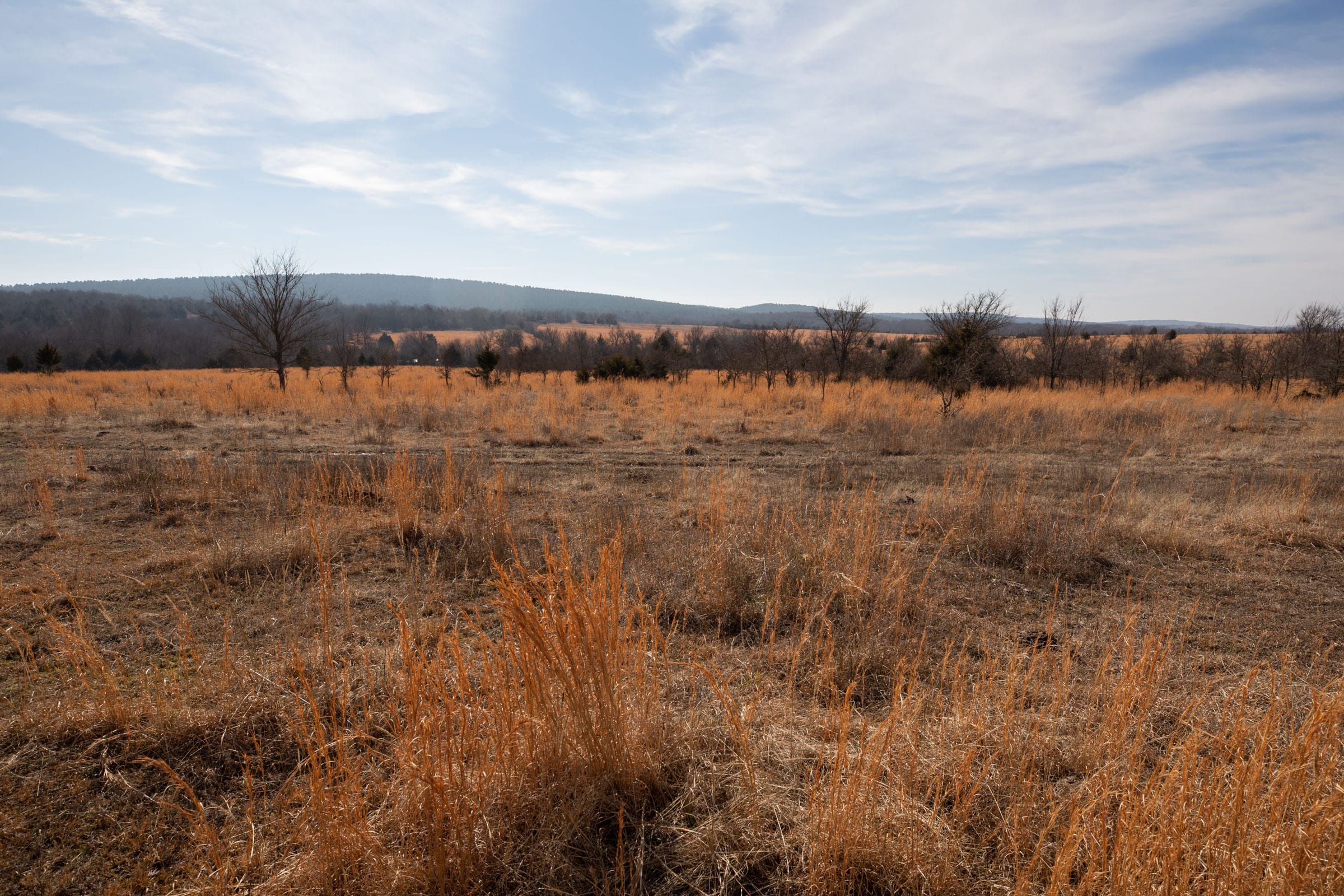 Painted Horse Tract 31 photo 10