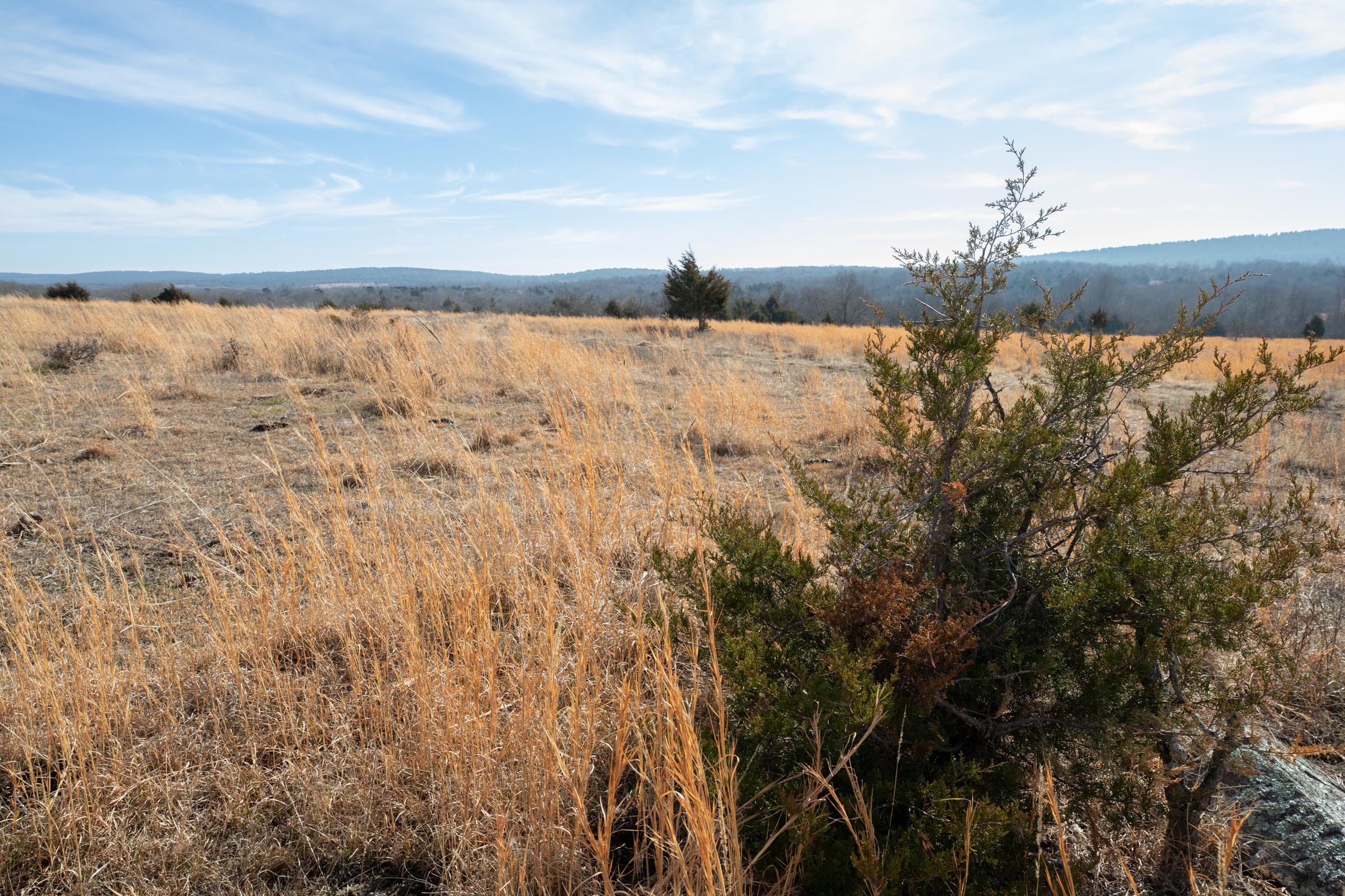 Painted Horse Tract 31 photo 11