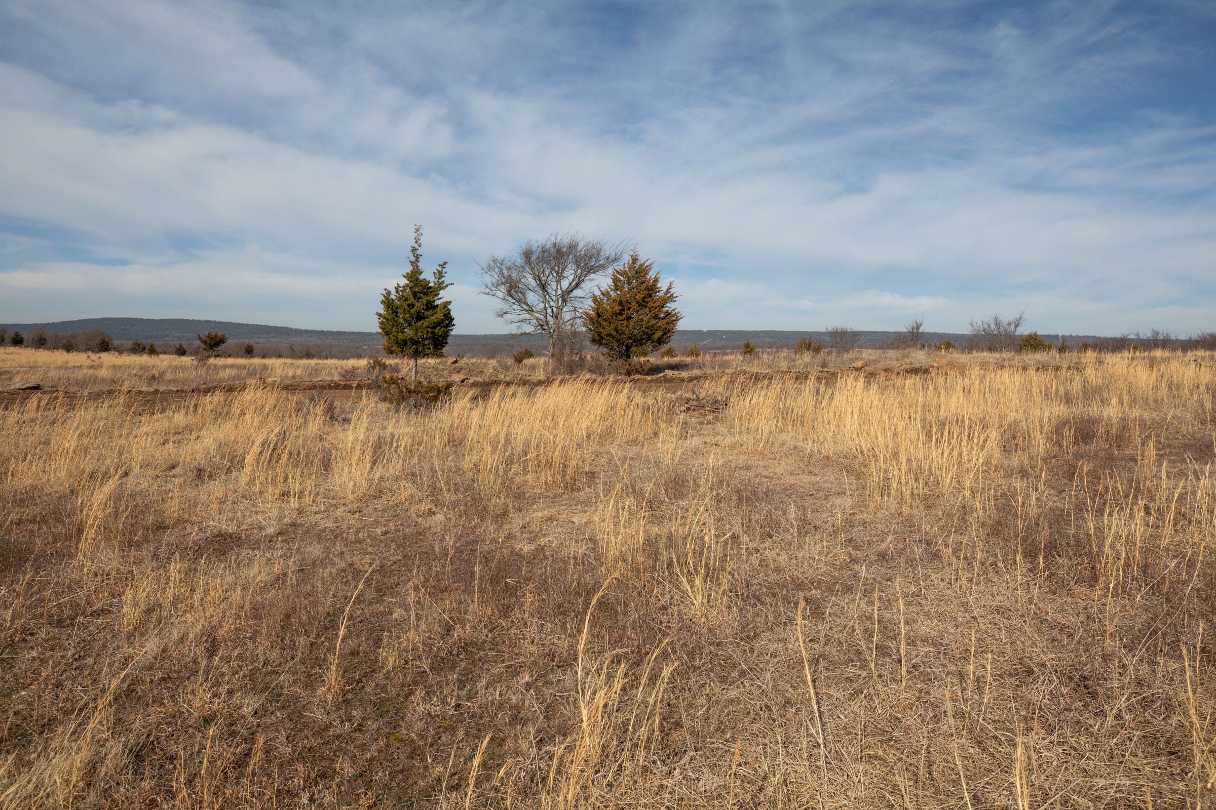 Painted Horse Tract 31 photo 12