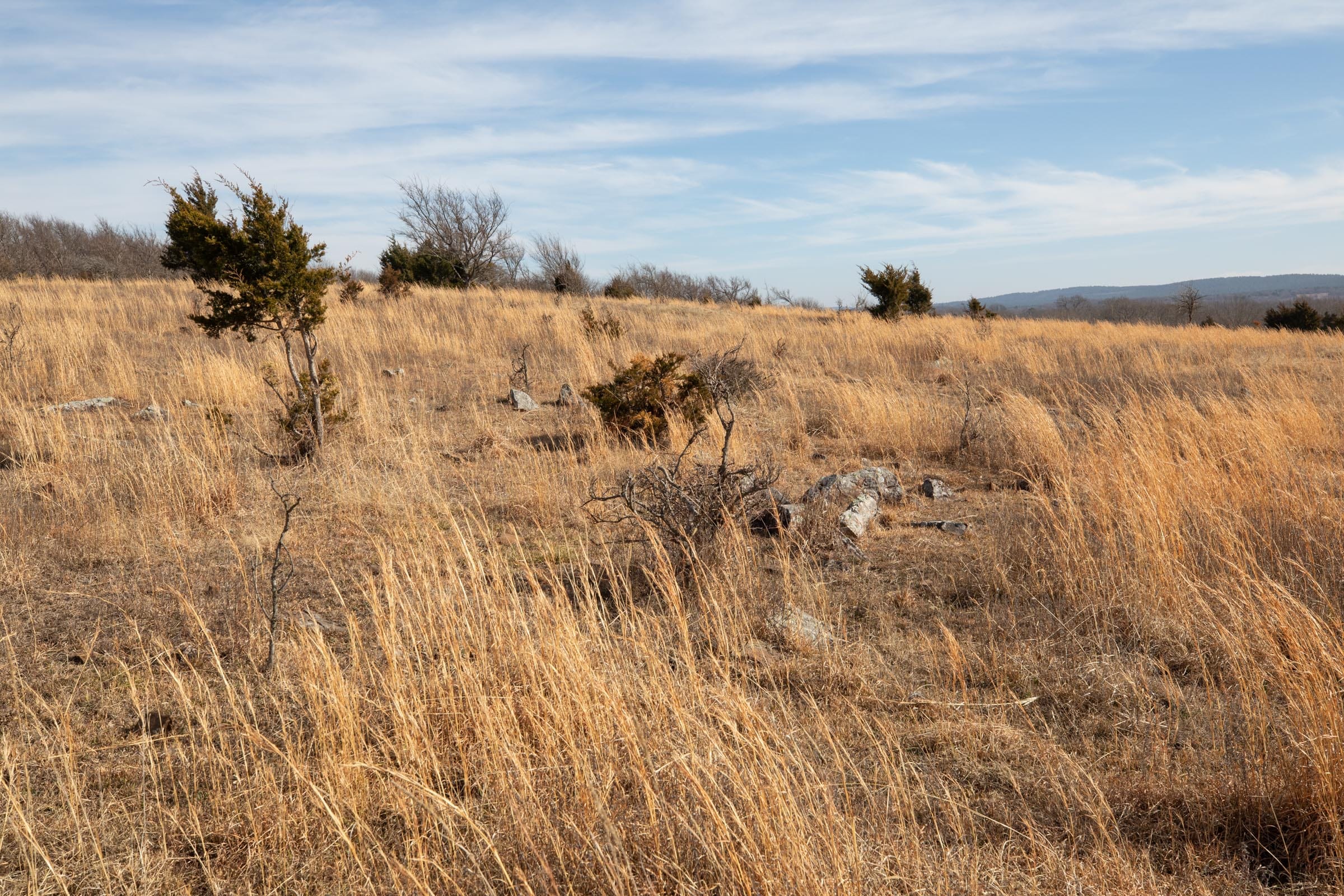 Painted Horse Tract 31 photo 13