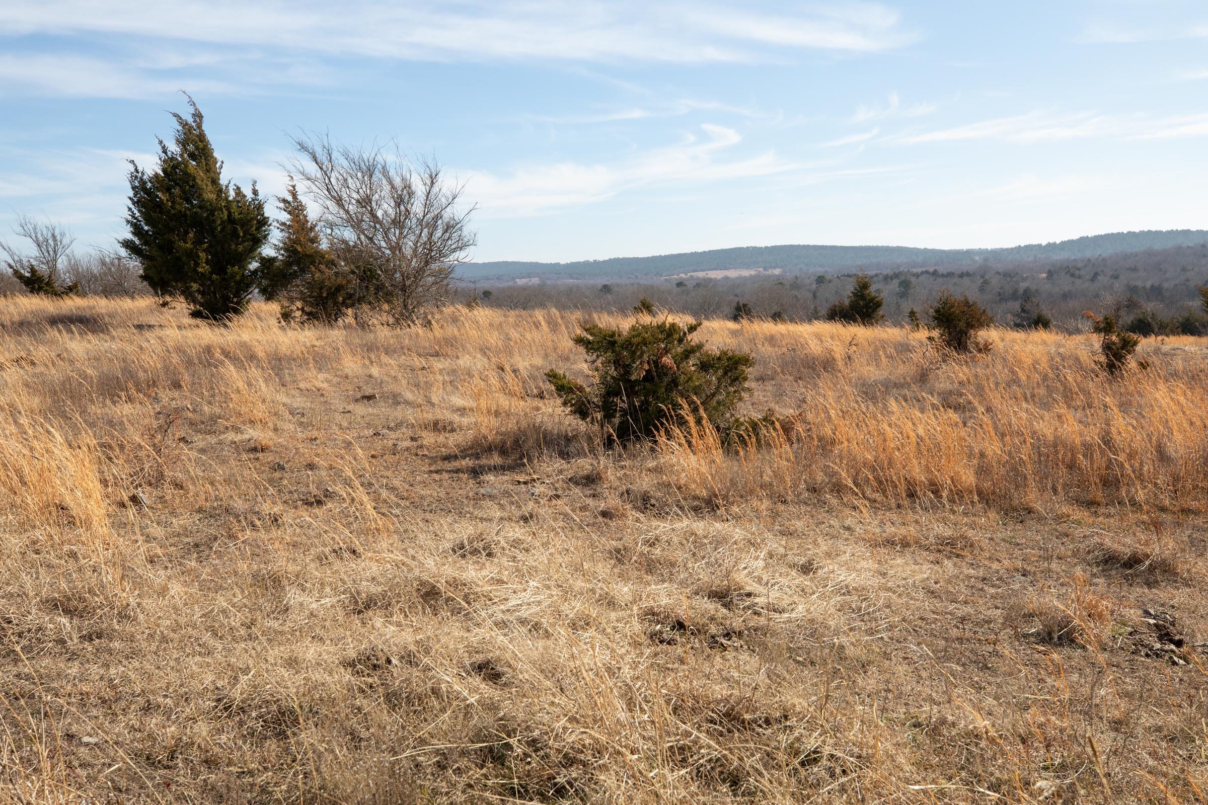 Painted Horse Tract 31 photo 14