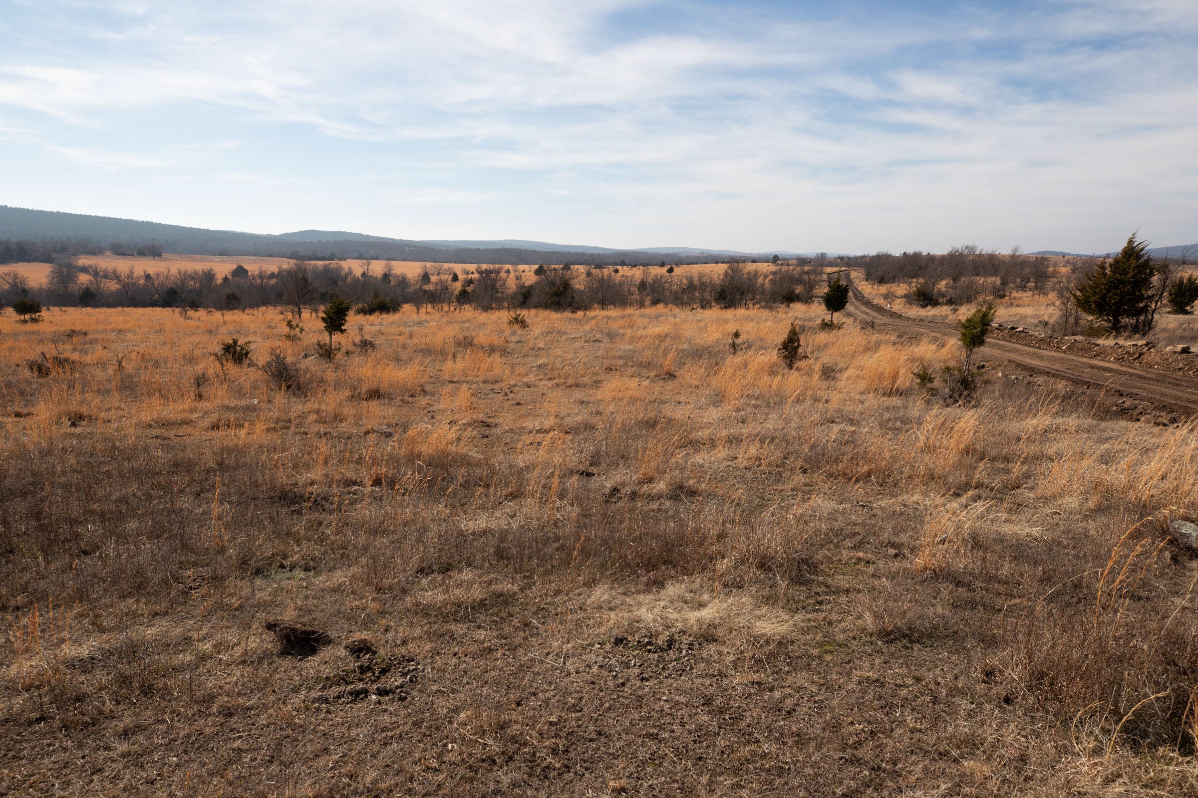 Painted Horse Tract 31 photo 15