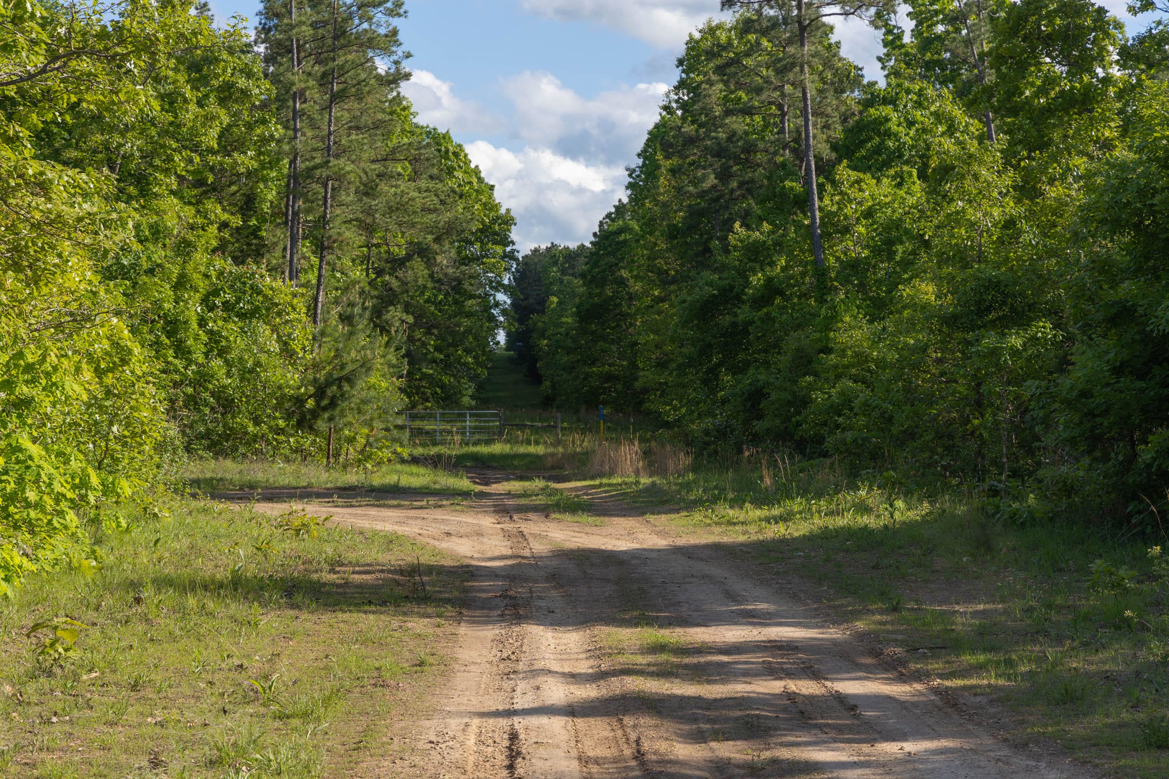 Sleepy Hollow Phase II Tract 60 photo 2