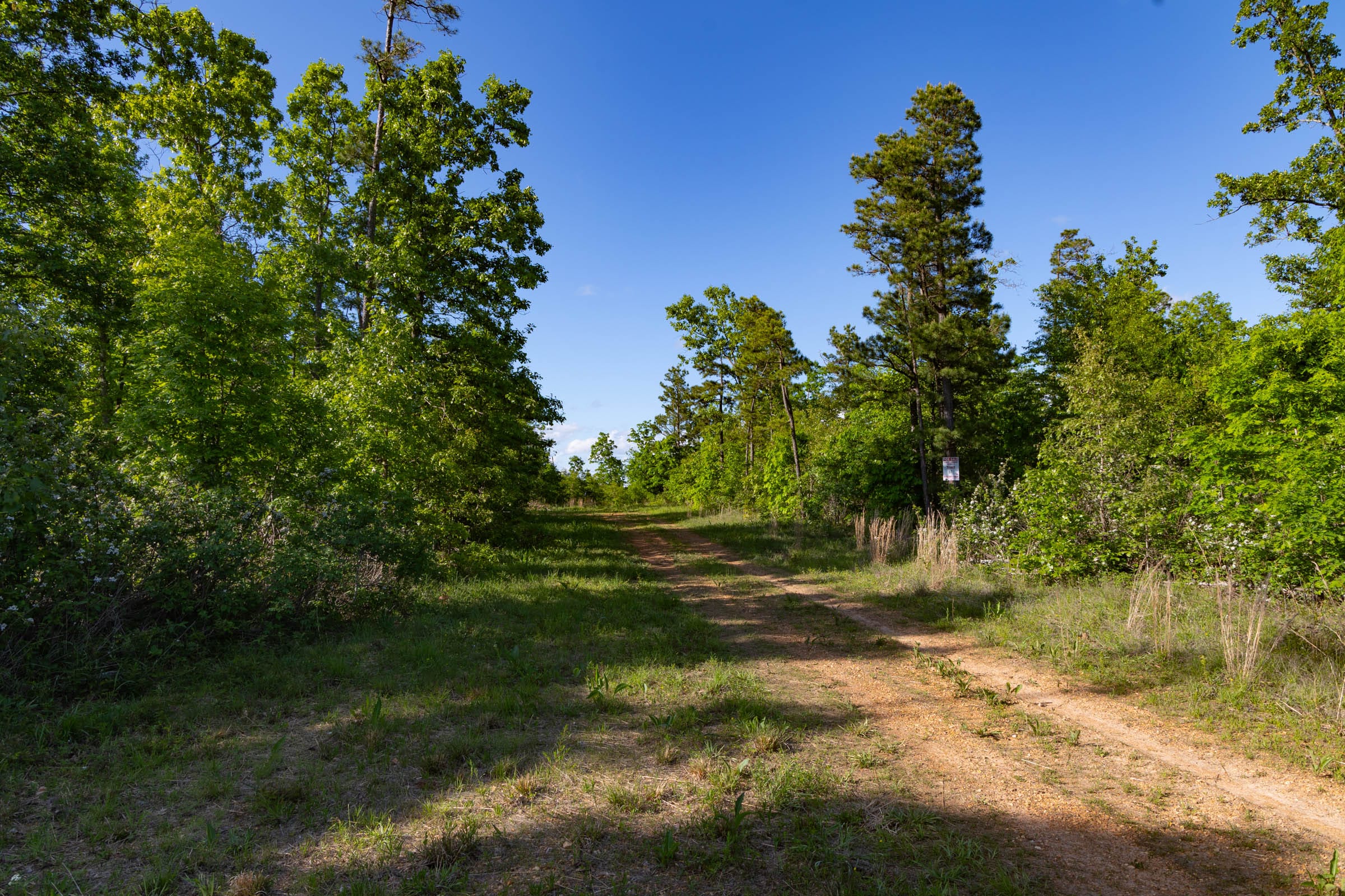 Sleepy Hollow Phase II Tract 60 photo 4