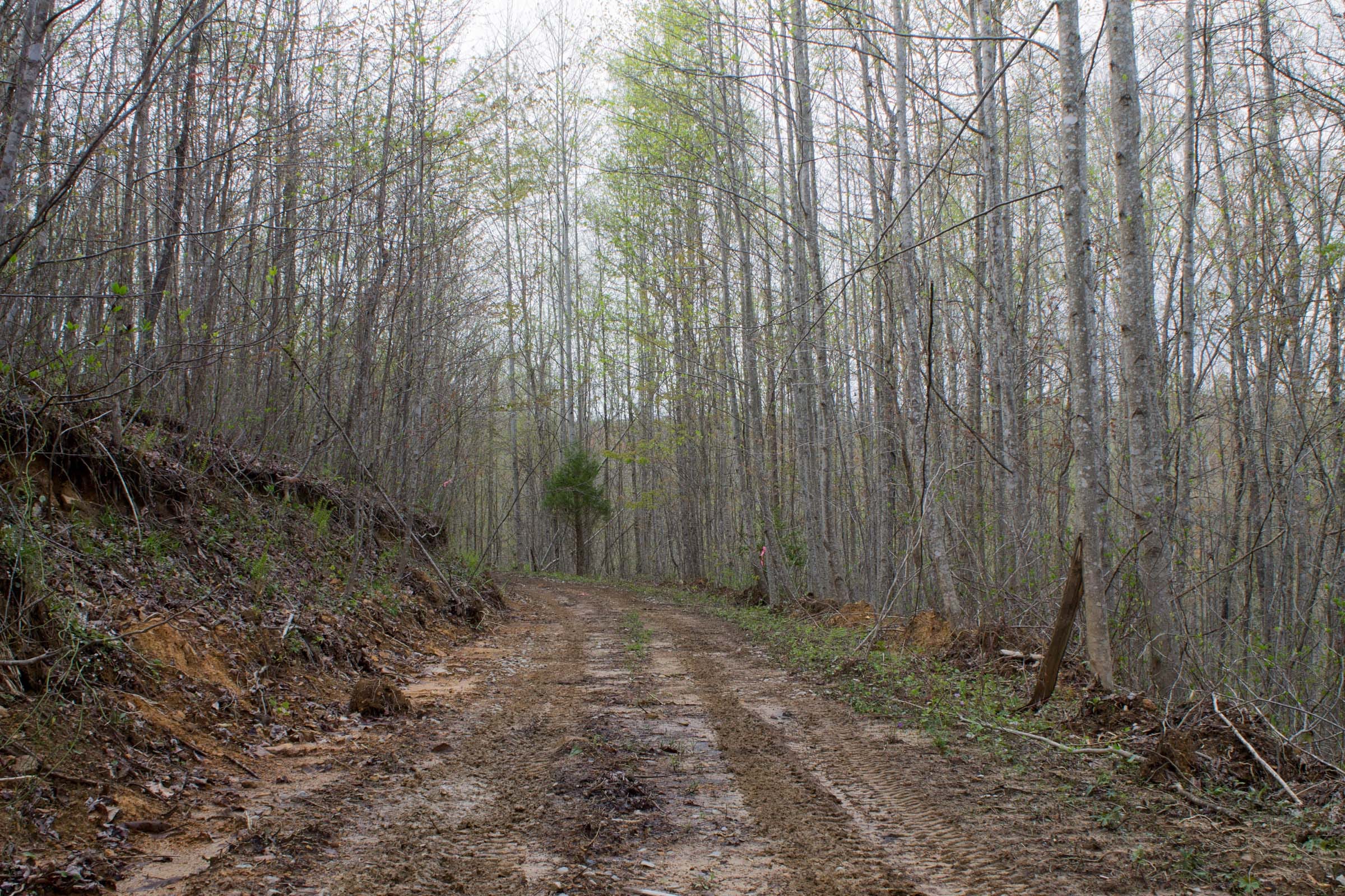 Hidden Hills Tract 51 photo 1