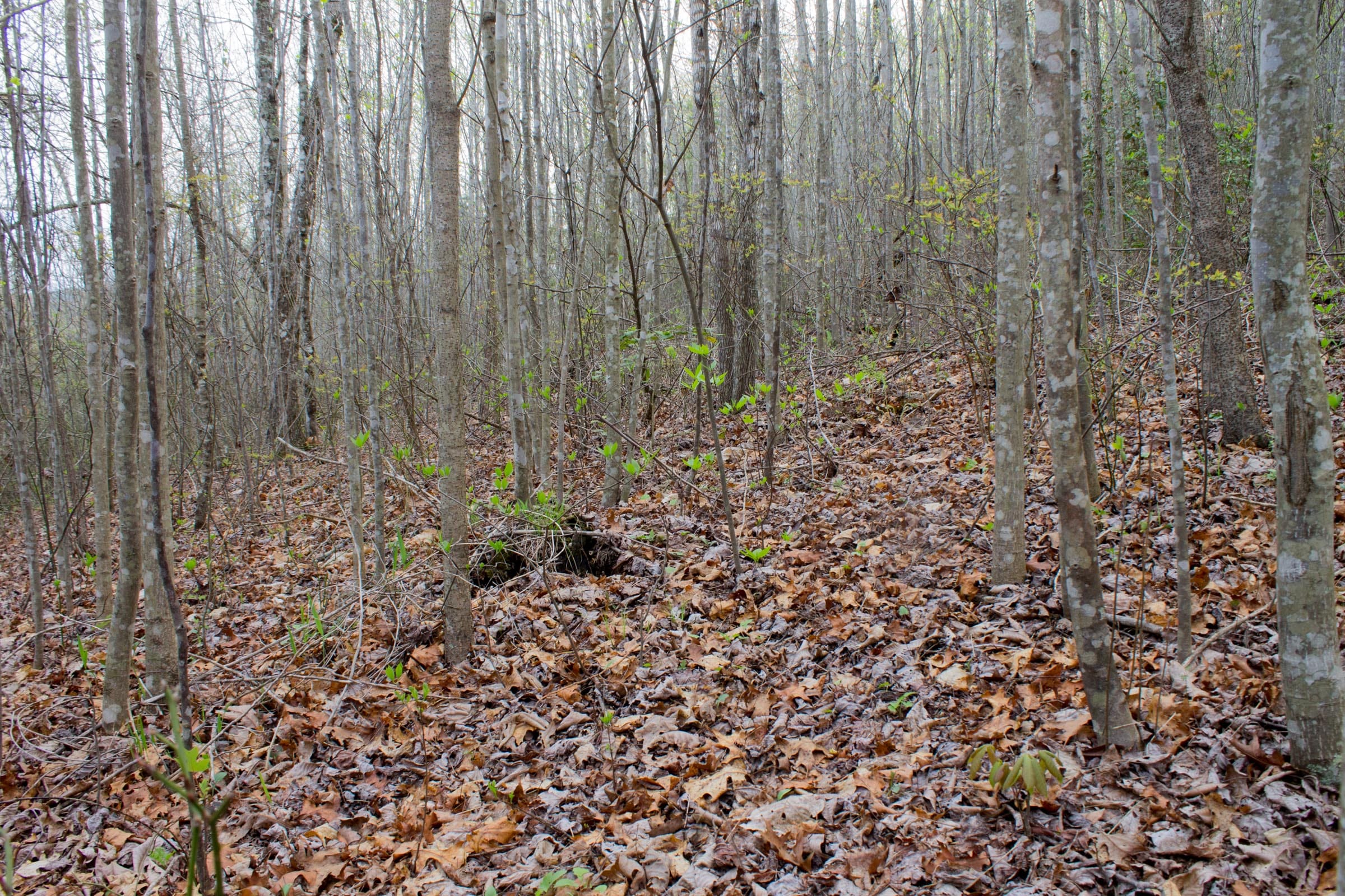 Hidden Hills Tract 51 photo 2