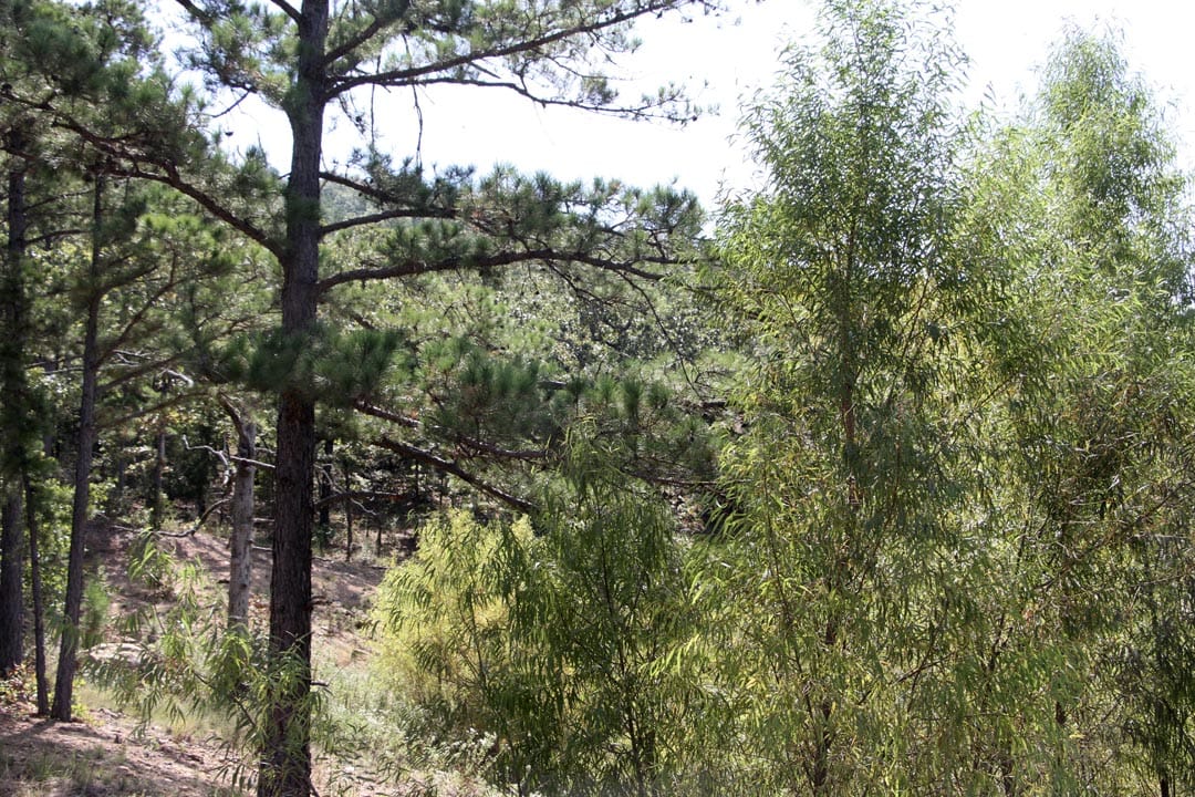 Lakeview Private Reserve Tract 10 photo 2