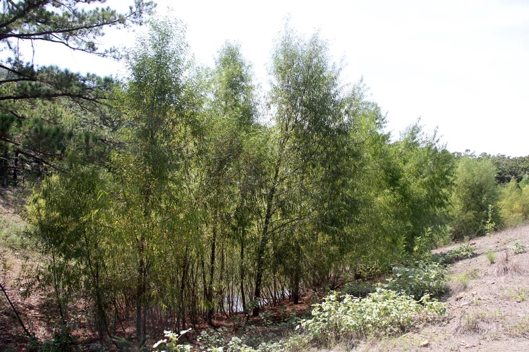 Lakeview Private Reserve Tract 10 photo 3