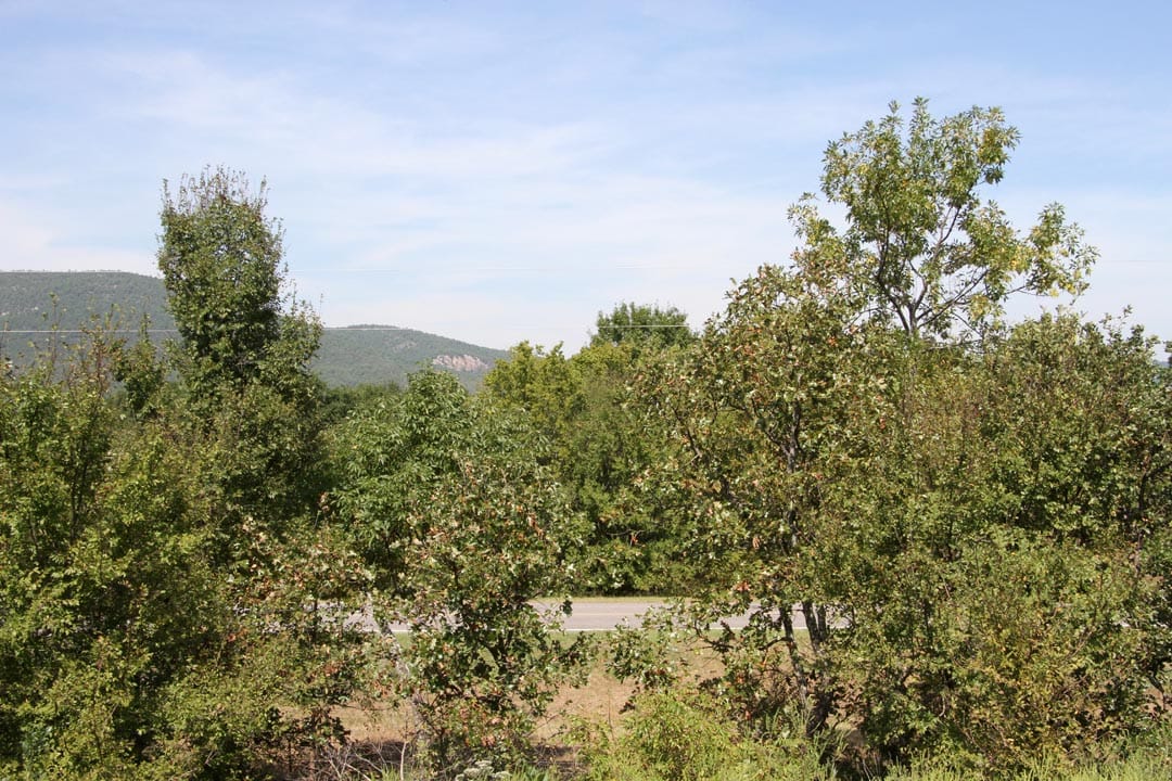 Lakeview Private Reserve Tract 10 photo 5