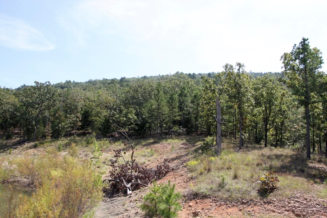 Lakeview Private Reserve Tract 10 photo 6