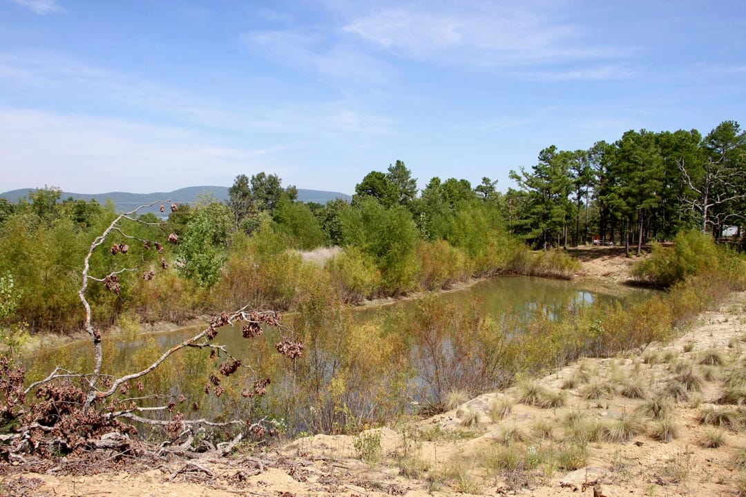 Lakeview Private Reserve Tract 10 photo 7