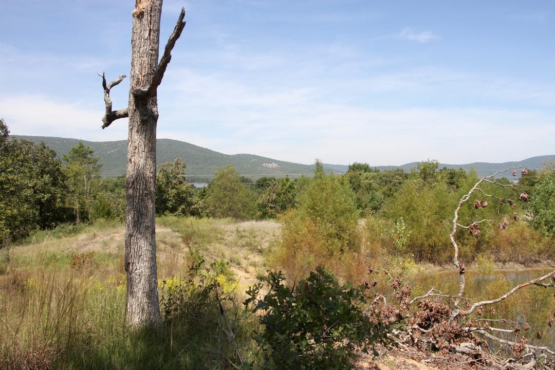 Lakeview Private Reserve Tract 10 photo 8