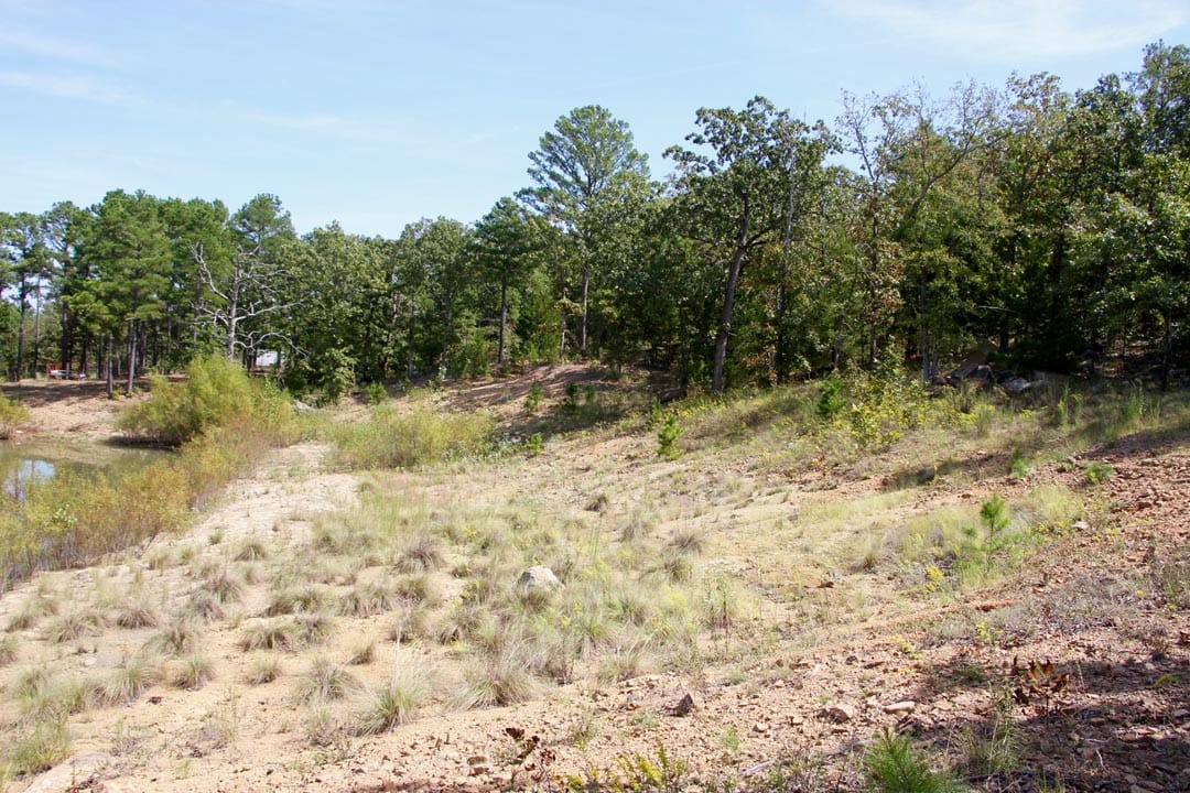 Lakeview Private Reserve Tract 10 photo 9