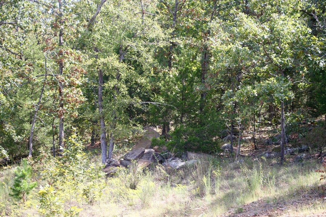 Lakeview Private Reserve Tract 10 photo 11